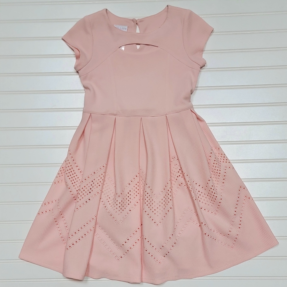 Iris & Ivy Dress